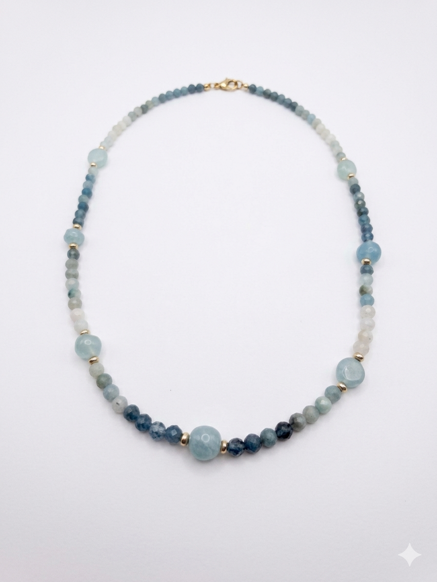 ששרשרת מיכל